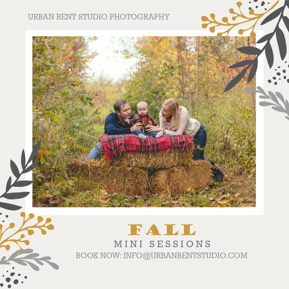 Ottawa-family-photographer-fall minis