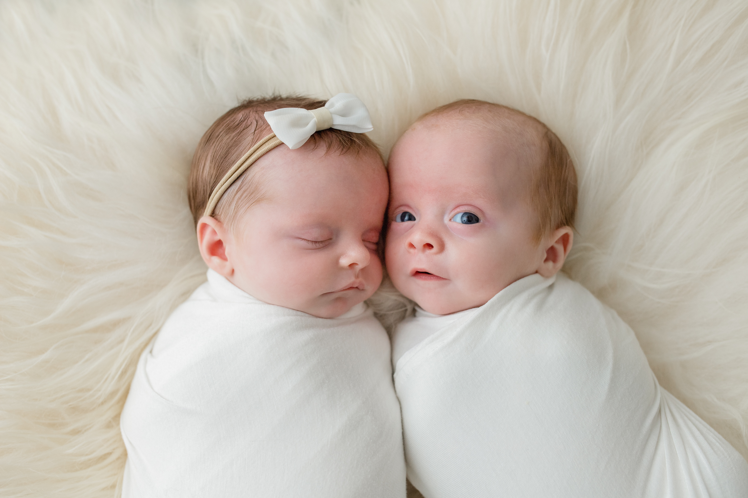 twins newborn session