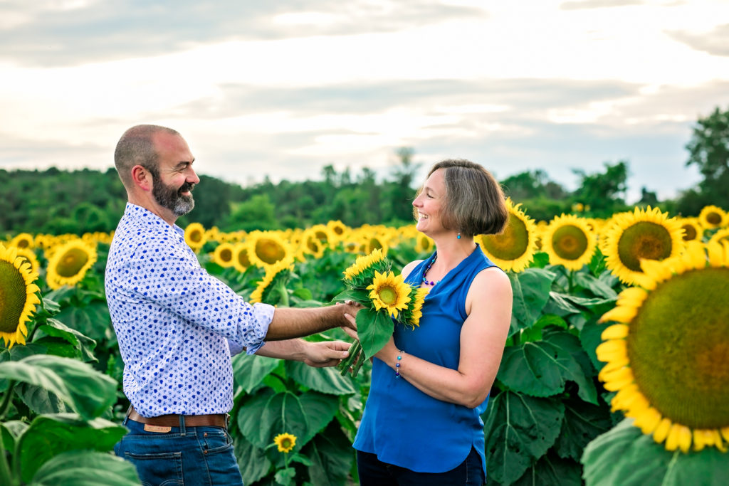 Sunflower session, Sunny Field of Gold